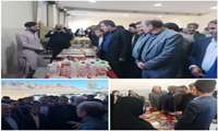 توانمندسازی مهارت‌آموزان خاش در کانون توجه کمسیون اجتماعی مجلس شورای اسلامی