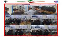 فعالیت کارگاه نصب و تعمیر پکیج و شوفاژ دیواری